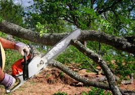 Best Aeration Services  in Chula Vista, CA